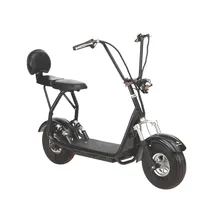 Citycoco Skyboard Mini-Black
