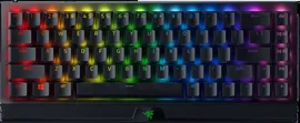 Клавиатура Razer BlackWidow V3 Mini RZ03-03891600-R3R1
